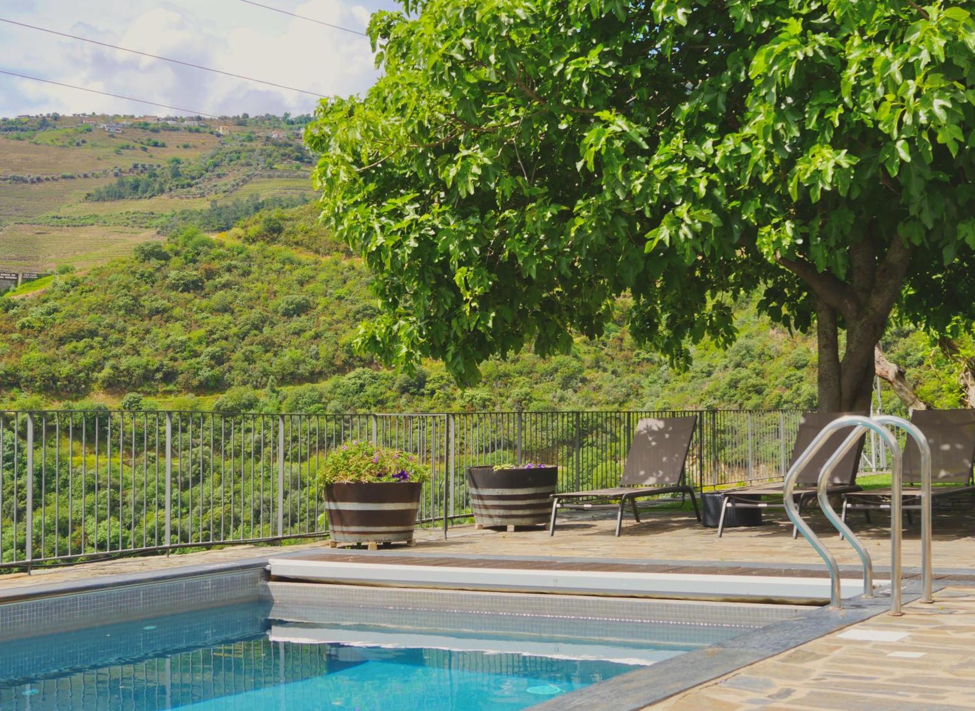 Bed and Breakfast Quinta Do Tedo Folgosa  Exteriér fotografie