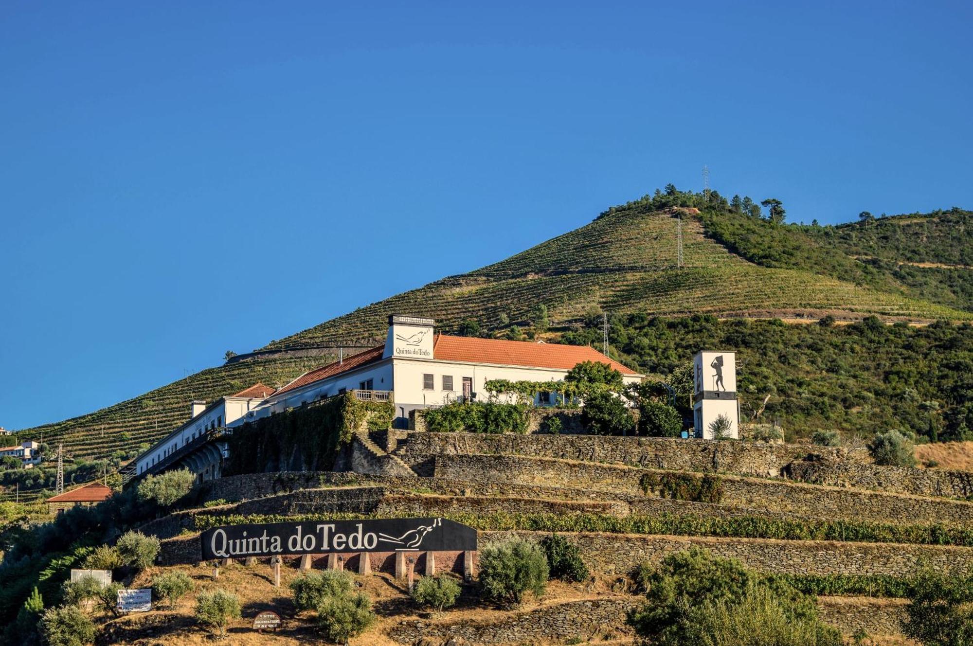 Bed and Breakfast Quinta Do Tedo Folgosa  Exteriér fotografie