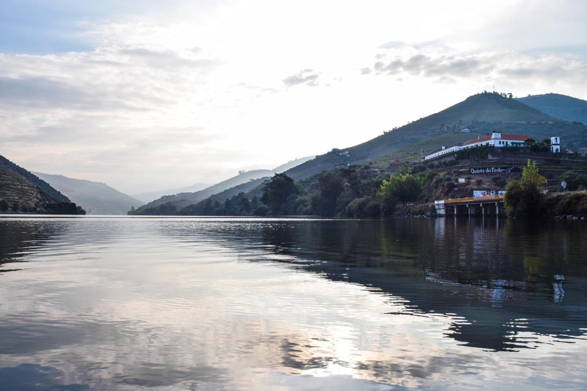 Bed and Breakfast Quinta Do Tedo Folgosa  Exteriér fotografie